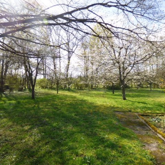  SARL PASSION IMMO Wagner Immo : Domaines / Propriétés | BLAMONT (54450) | 500 m2 | 472 500 € 