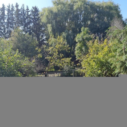  SARL PASSION IMMO Wagner Immo : House | DIEUZE (57260) | 132 m2 | 80 000 € 