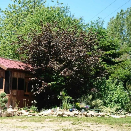  SARL PASSION IMMO Wagner Immo : Domaines / Propriétés | LUNEVILLE (54300) | 285 m2 | 395 000 € 