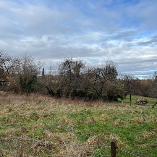  SARL PASSION IMMO Wagner Immo : Terrain | PETITMONT (54480) | 0 m2 | 20 000 € 