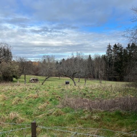  SARL PASSION IMMO Wagner Immo : Terrain | PETITMONT (54480) | 0 m2 | 20 000 € 
