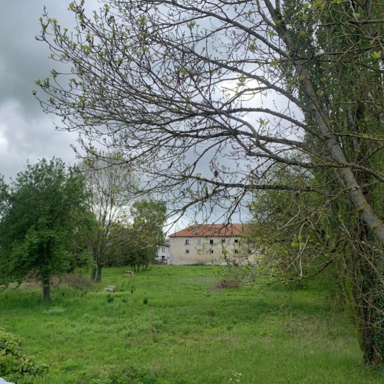  SARL PASSION IMMO Wagner Immo : Maison / Villa | RUMONT (55000) | 380 m2 | 159 000 € 