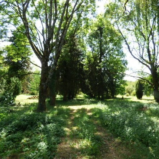  SARL PASSION IMMO Wagner Immo : Domaines / Propriétés | BLAMONT (54450) | 300 m2 | 315 000 € 