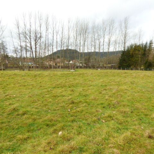  SARL PASSION IMMO Wagner Immo : Terrain | MOYENMOUTIER (88420) | 0 m2 | 49 950 € 