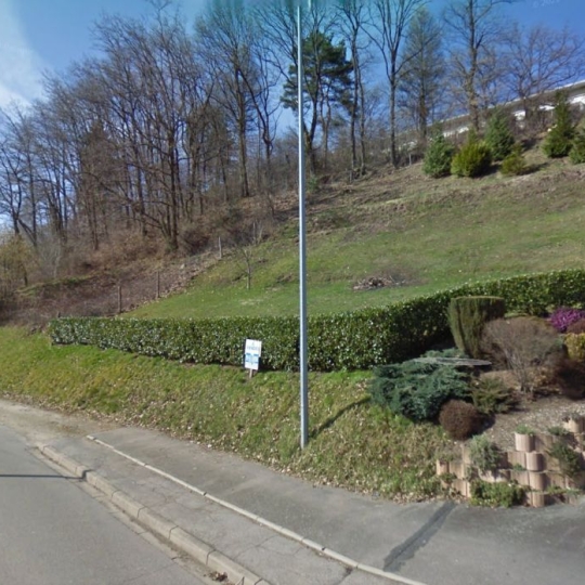  SARL PASSION IMMO Wagner Immo : Ground | MOYENMOUTIER (88420) | 0 m2 | 13 000 € 