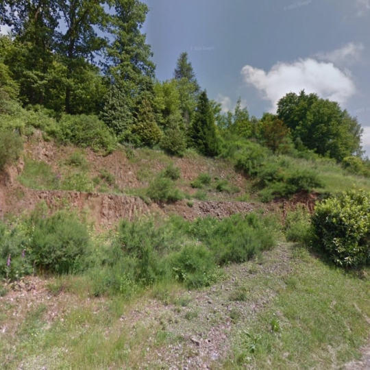 SARL PASSION IMMO Wagner Immo : Terrain | MOYENMOUTIER (88420) | m2 | 13 000 € 