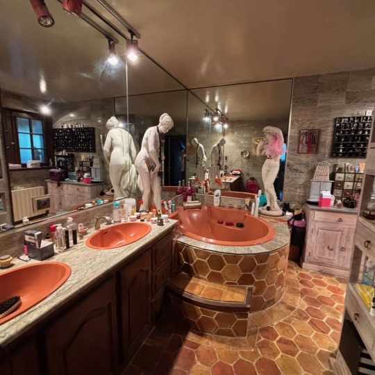  SARL PASSION IMMO Wagner Immo : Domaines / Propriétés | BAR-LE-DUC (55000) | 631 m2 | 935 000 € 