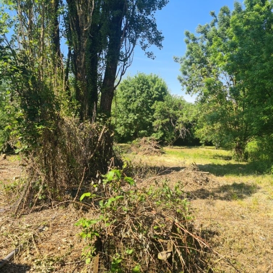  SARL PASSION IMMO Wagner Immo : Maison / Villa | AVRICOURT (54450) | 62 m2 | 46 600 € 