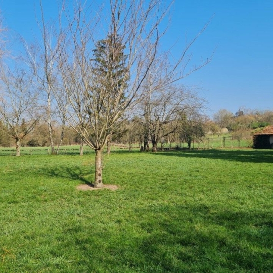  SARL PASSION IMMO Wagner Immo : House | DIEUZE (57260) | 395 m2 | 250 000 € 