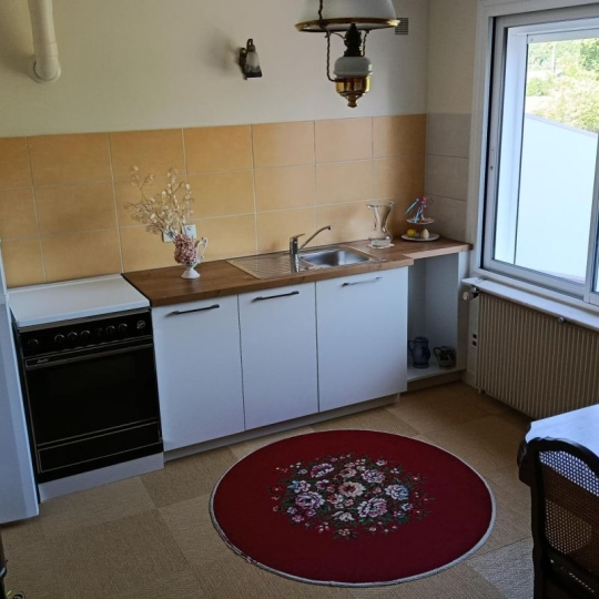  SARL PASSION IMMO Wagner Immo : Maison / Villa | DIEUZE (57260) | 150 m2 | 182 000 € 