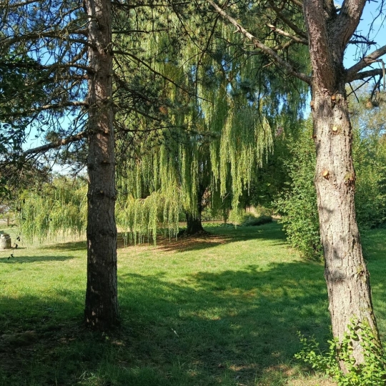  SARL PASSION IMMO Wagner Immo : Maison / Villa | DIEUZE (57260) | 170 m2 | 167 000 € 