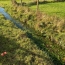  SARL PASSION IMMO Wagner Immo : Terrain | RUPT-DEVANT-SAINT-MIHIEL (55260) | 0 m2 | 17 500 € 