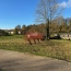  SARL PASSION IMMO Wagner Immo : Terrain | RUPT-DEVANT-SAINT-MIHIEL (55260) | 0 m2 | 17 500 € 
