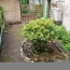  SARL PASSION IMMO Wagner Immo : House | DIEUZE (57260) | 64 m2 | 69 000 € 