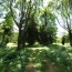  SARL PASSION IMMO Wagner Immo : Domaines / Propriétés | BLAMONT (54450) | 300 m2 | 315 000 € 