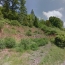  SARL PASSION IMMO Wagner Immo : Ground | MOYENMOUTIER (88420) | 0 m2 | 13 000 € 