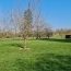  SARL PASSION IMMO Wagner Immo : House | DIEUZE (57260) | 395 m2 | 250 000 € 