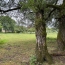  SARL PASSION IMMO Wagner Immo : Maison / Villa | MAIZEY (55300) | 150 m2 | 19 000 € 