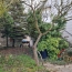  SARL PASSION IMMO Wagner Immo : Appartement | DIEUZE (57260) | 110 m2 | 65 000 € 