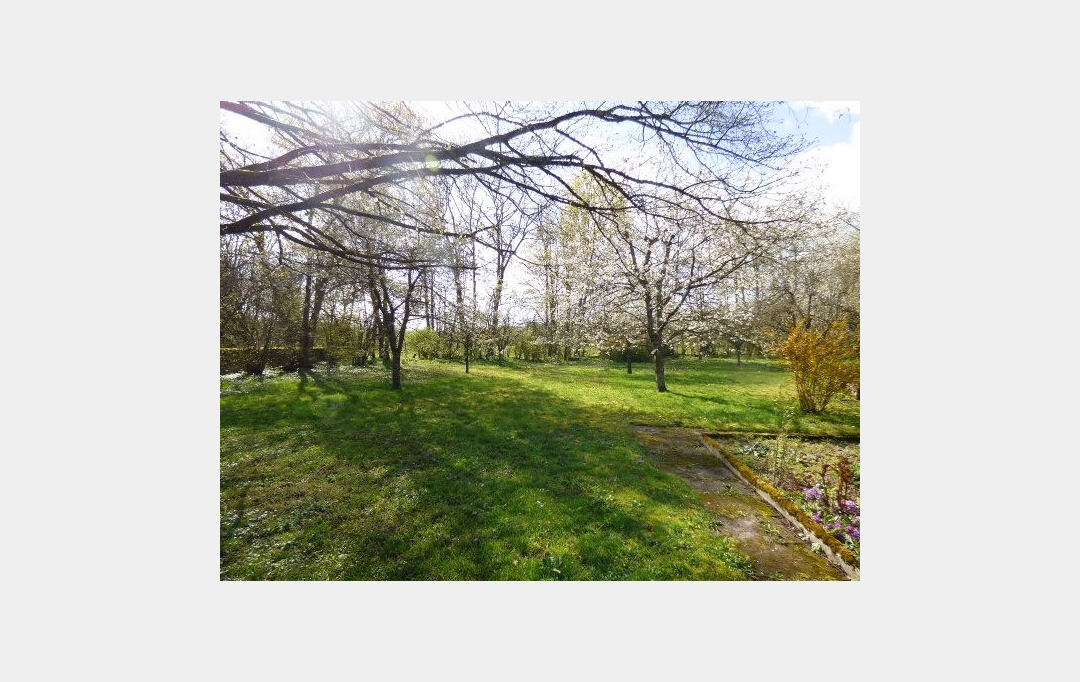 SARL PASSION IMMO Wagner Immo : Domaines / Propriétés | BLAMONT (54450) | 500 m2 | 472 500 € 
