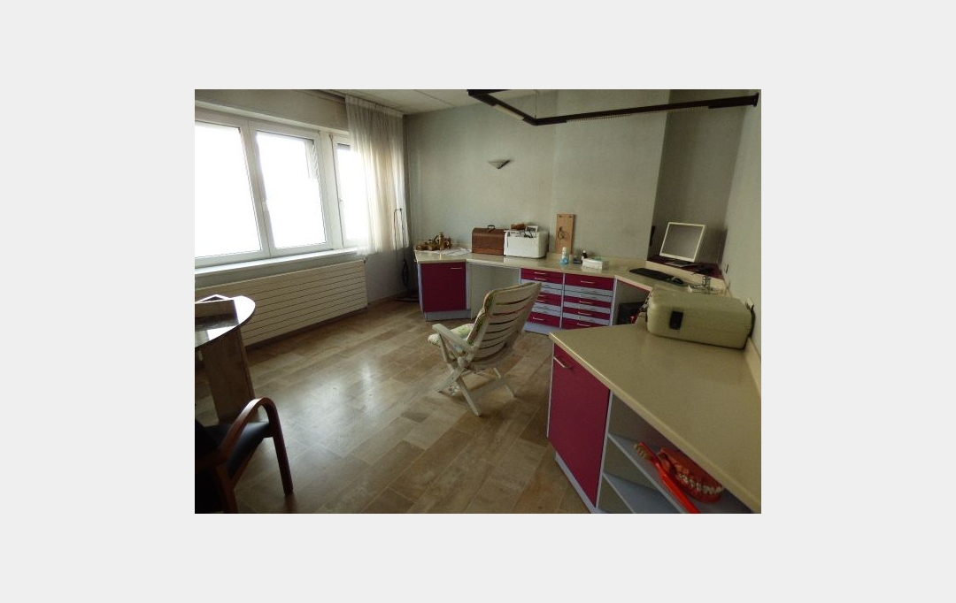 SARL PASSION IMMO Wagner Immo : Domaines / Propriétés | BLAMONT (54450) | 500 m2 | 472 500 € 