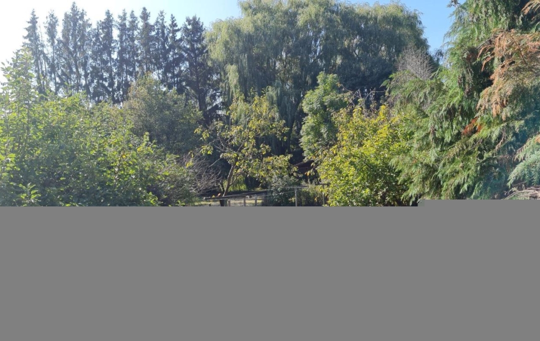 SARL PASSION IMMO Wagner Immo : House | DIEUZE (57260) | 132 m2 | 80 000 € 