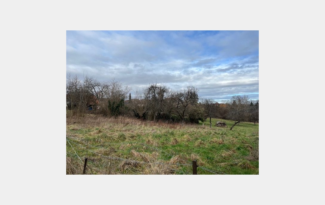 SARL PASSION IMMO Wagner Immo : Terrain | PETITMONT (54480) | 0 m2 | 20 000 € 