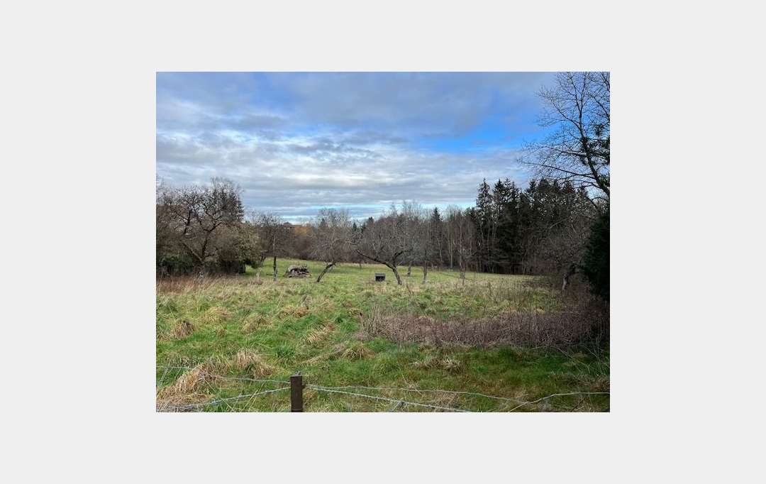 SARL PASSION IMMO Wagner Immo : Terrain | PETITMONT (54480) | 0 m2 | 20 000 € 