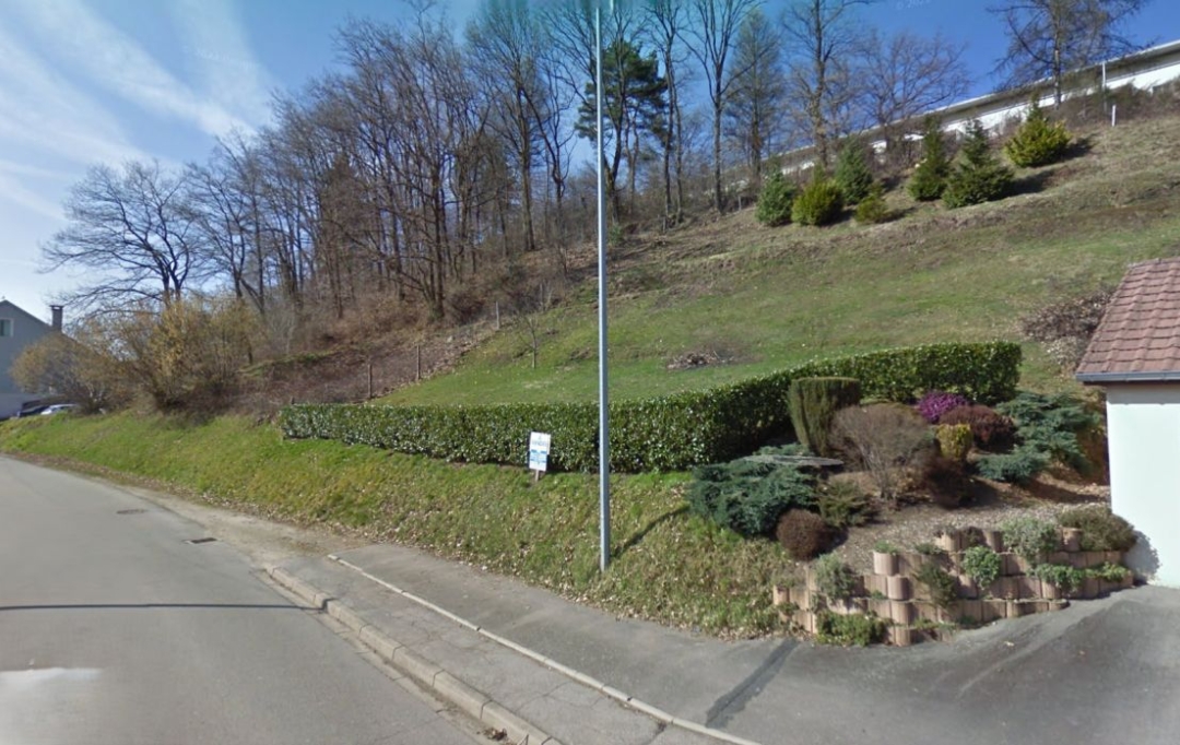 SARL PASSION IMMO Wagner Immo : Ground | MOYENMOUTIER (88420) | 0 m2 | 13 000 € 