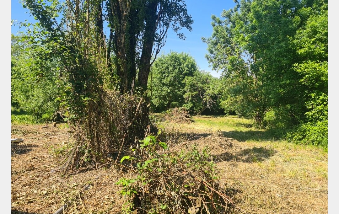 SARL PASSION IMMO Wagner Immo : Maison / Villa | AVRICOURT (54450) | 62 m2 | 46 600 € 
