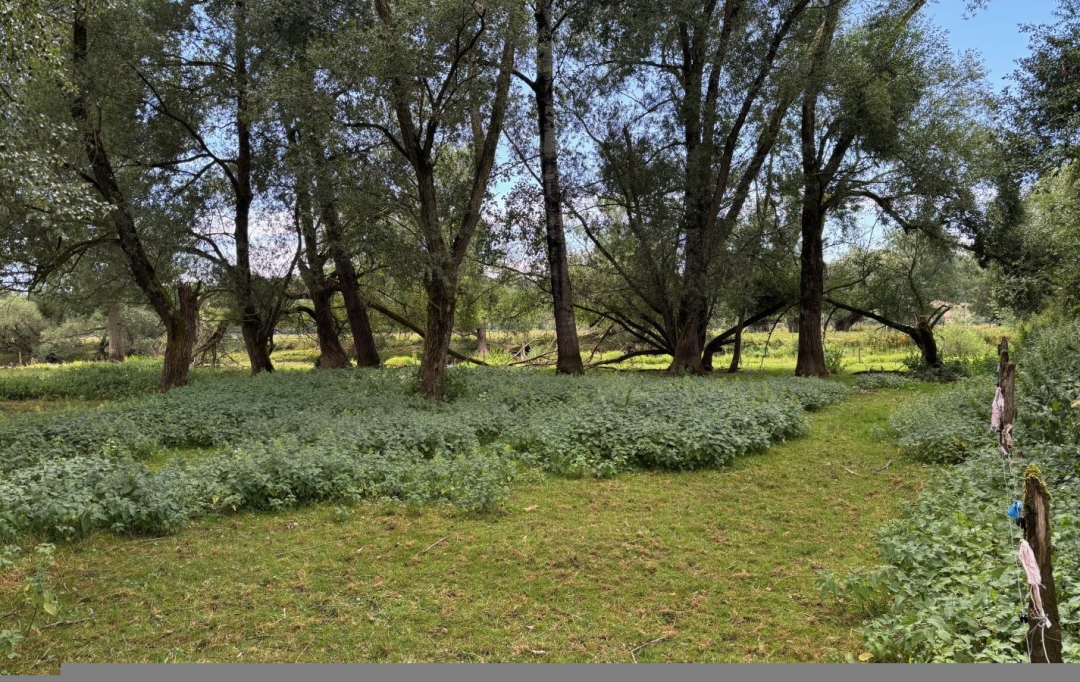 SARL PASSION IMMO Wagner Immo : Maison / Villa | MAIZEY (55300) | 150 m2 | 19 000 € 