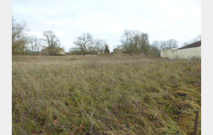  SARL PASSION IMMO Wagner Immo Terrain | BLAMONT (54450) | 0 m2 | 27 500 € 
