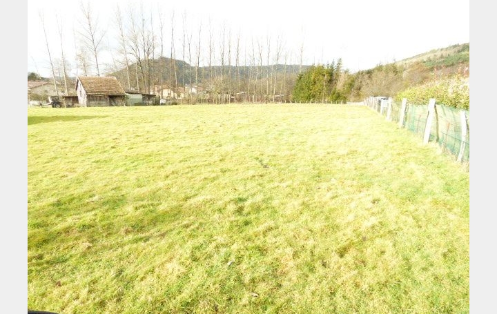  SARL PASSION IMMO Wagner Immo Terrain | MOYENMOUTIER (88420) | 0 m2 | 49 950 € 