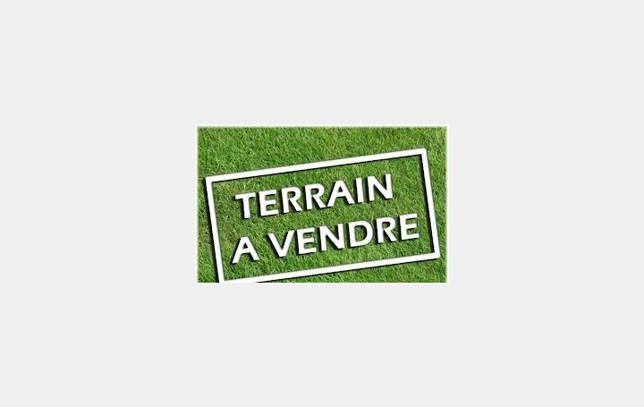  SARL PASSION IMMO Wagner Immo Terrain | MOYENMOUTIER (88420) | 0 m2 | 13 000 € 